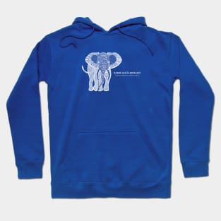 African Elephant with Common and Latin Names - gift for elephant lover Hoodie